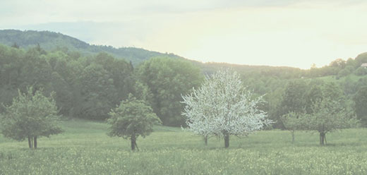 Baumberger Natur