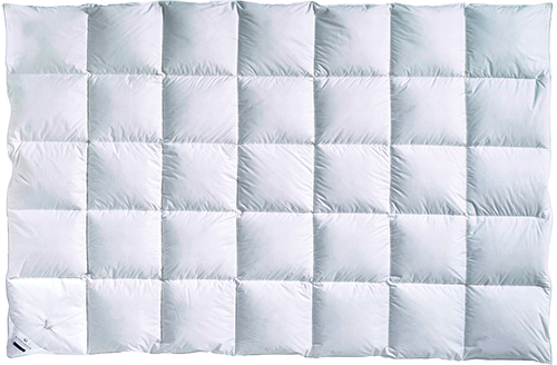 billerbeck daunendecke