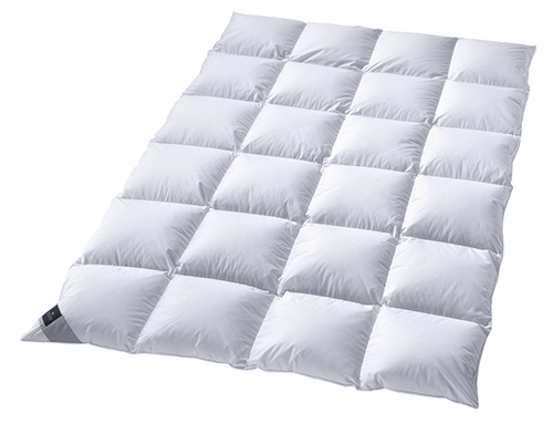 billerbeck Decke
