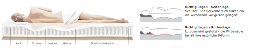 matratzen zonierung
