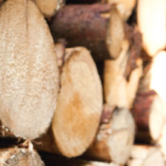 Holzstrucktur