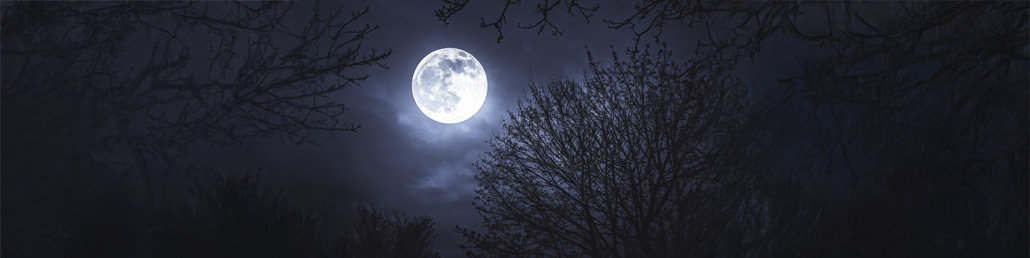 Schlaflos durch den Vollmond – Mythos oder Wahrheit?
