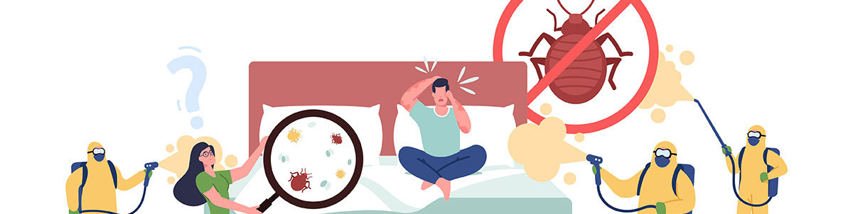 Bettwanzen erfolgreich bekämpfen und Befall vorbeugen - Bettwanzen erfolgreich bekämpfen und Befall vorbeugen