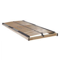 f.a.n. Dreamflex Premium NV Lattenrost starr