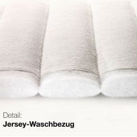 Röwa Etera Boston Taschenfederkernmatratze