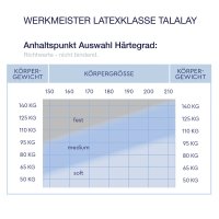 Werkmeister M L420 Latexmatratze