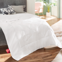 Brinkhaus Tussah Wildseidensteppbett