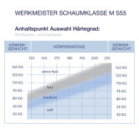 Werkmeister M S55 Plus Kaltschaummatratze