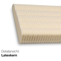 Werkmeister Kissen KL8 Latex Keilkissen