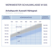 Werkmeister M S55 Flexo Kaltschaummatratze