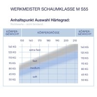 Werkmeister M S55 Komfort Kaltschaummatratze