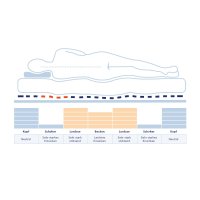 Werkmeister ML 430 Talalay Latexmatratze