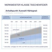 Werkmeister M T610 Taschenfederkern Matratze