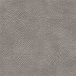 721-Buffalo grey