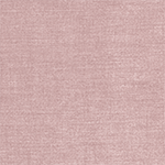 762-Capo rose
