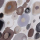 circle taupe beige