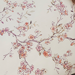 rosa beere