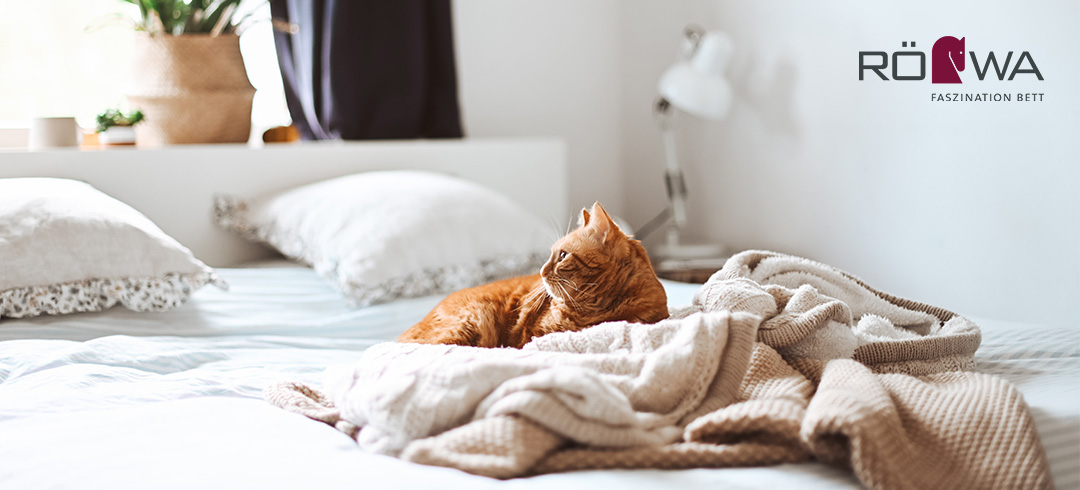 Katze liegt auf einem Röwa Bett