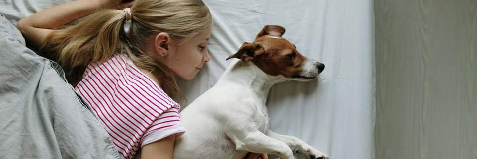 Was ist die beste Schlafposition