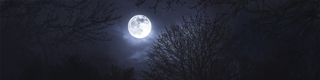 schlafen_bei_vollmond.jpg