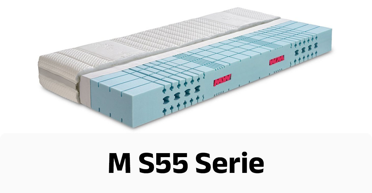 Werkmeister M S55 Serie