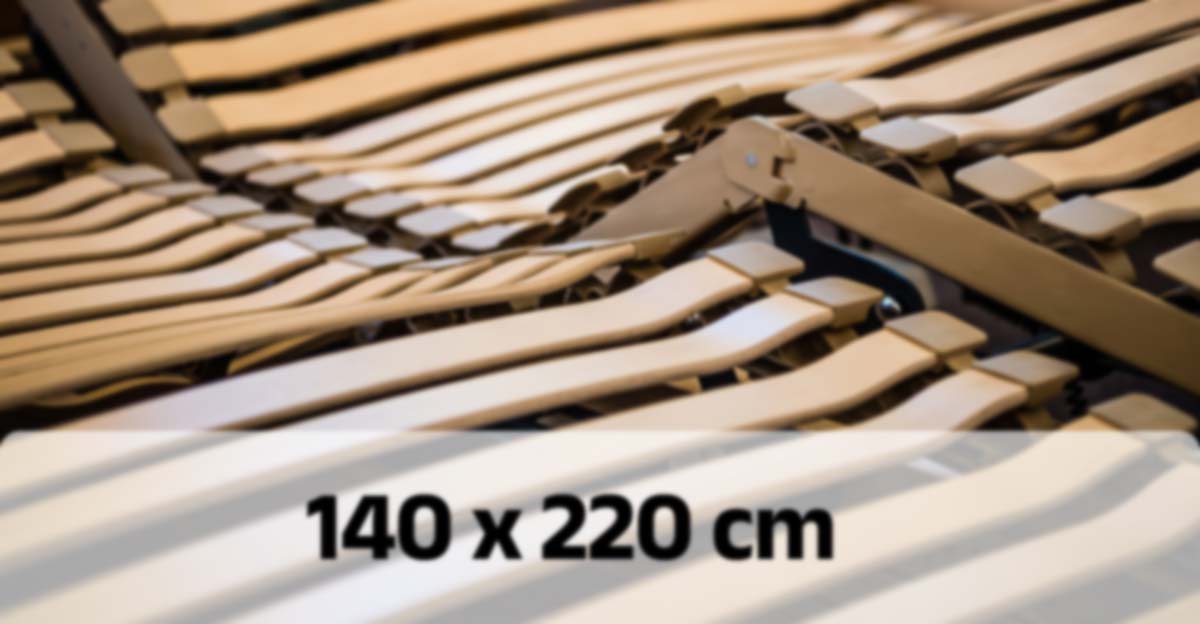 Verstellbare Lattenroste 140 220