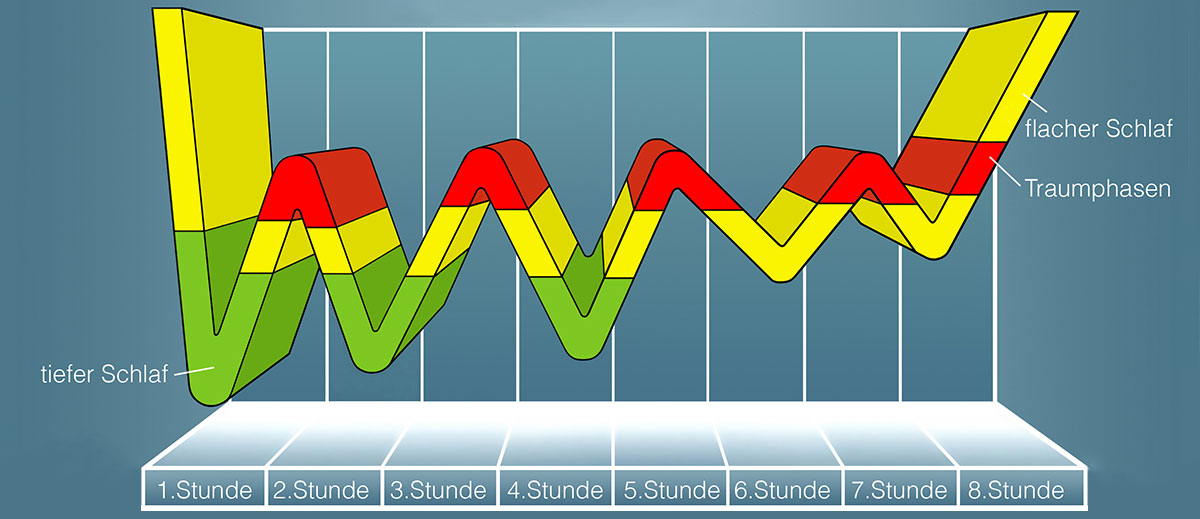 schlafphasen