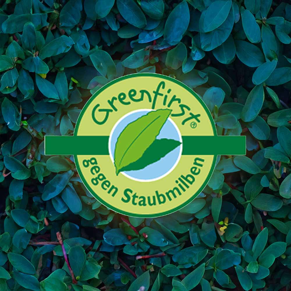 Greenfirst Logo mit grünem Hintergrund