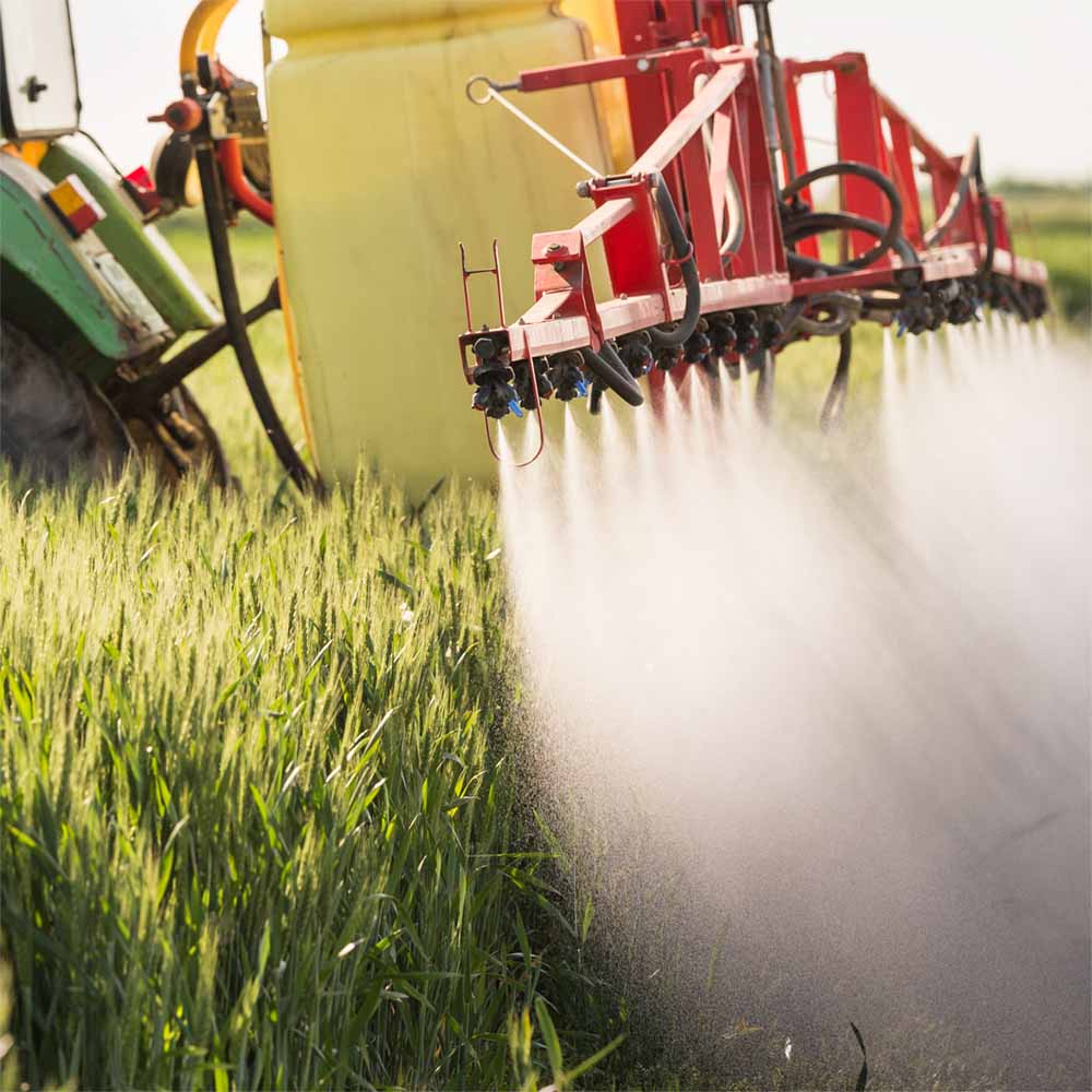 Pestizide werden auf einem Feld versprüht