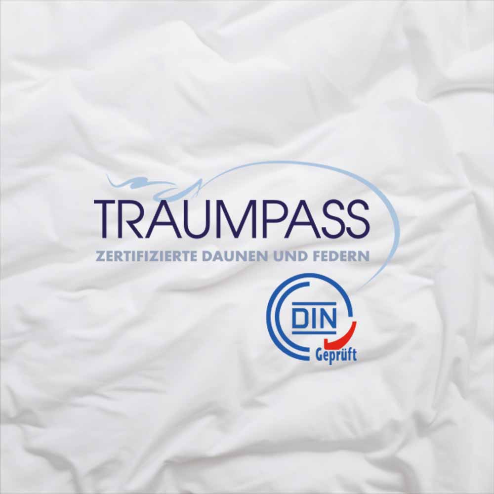 Traumpass Logo